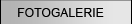 Fotogalerie